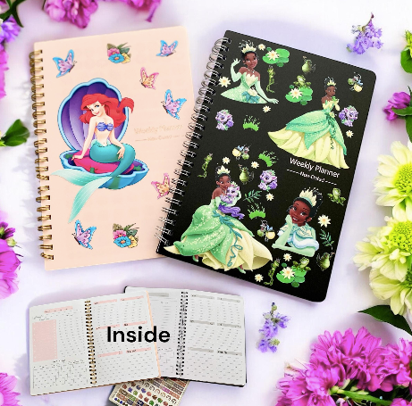 Princess and Villians Notebooks, Princess Notebooks, Villians Notebooks, Princess Planners